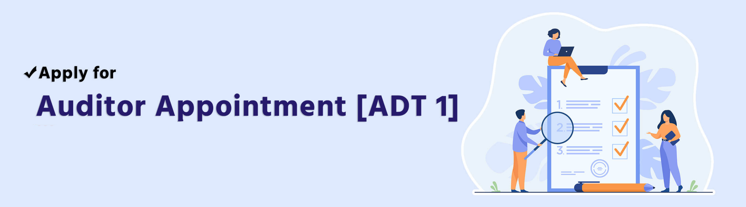 auditor-appointment